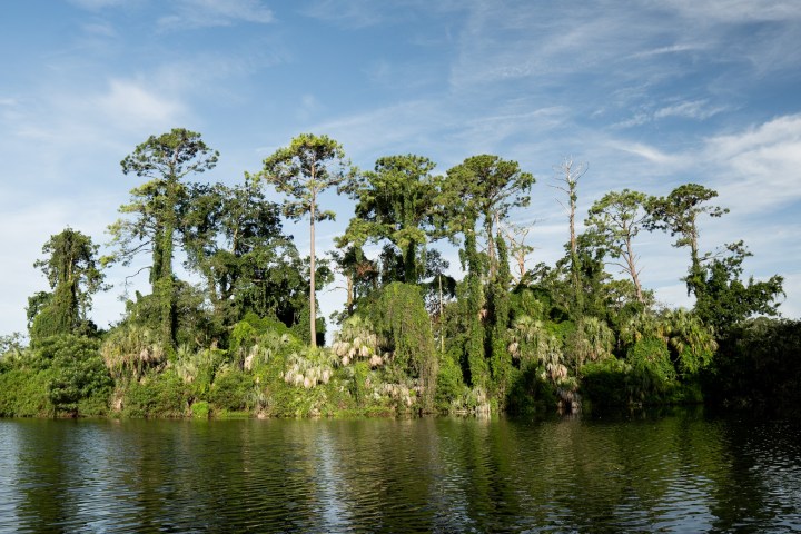a body of water surrounded by trees
