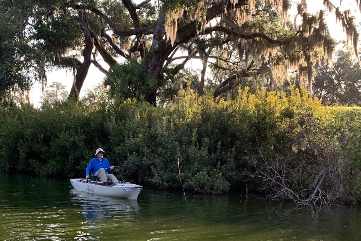a man riding on the back of a boat next to a tree