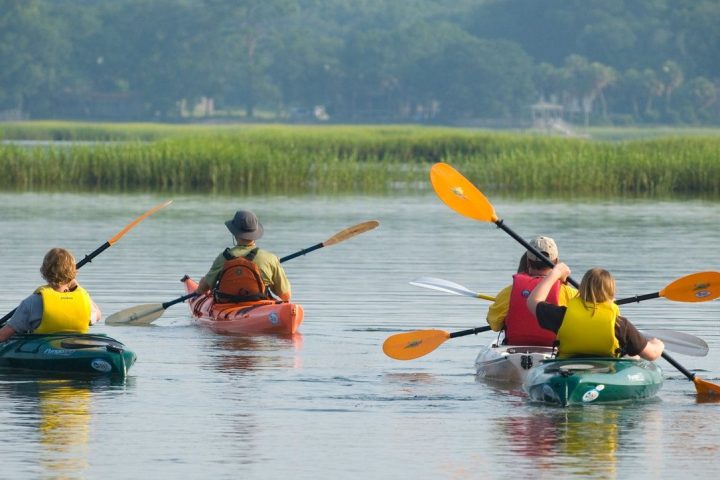 Group of kayakers