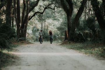 a group of people walking down a dirt road next to a tree