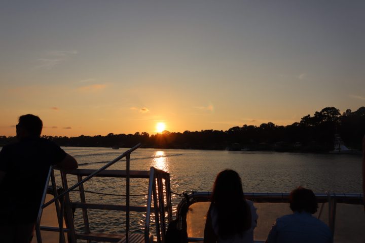 a man standing on a bridge over a body of water